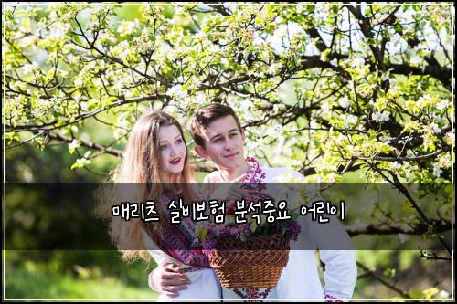 매리츠 실비보험 분석중요  어린이