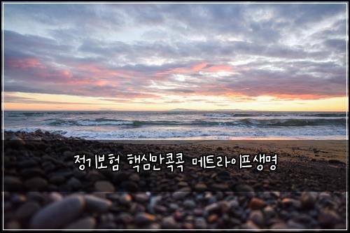 정기보험 핵심만콕콕  메트라이프생명
