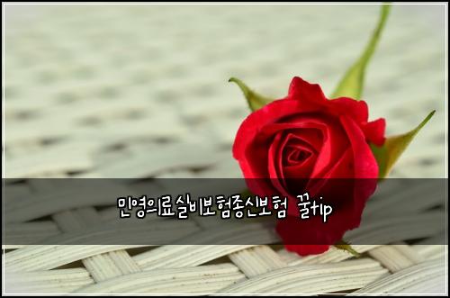 민영의료실비보험종신보험 꿀tip