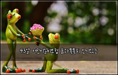43살 어린이실비보험 효과톡톡히  인기있는