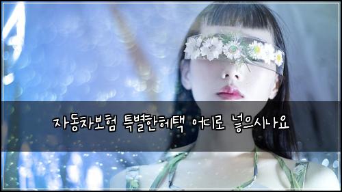자동차보험 특별한헤택  어디로 넣으시나요