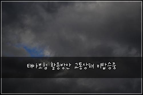 ํ์๋ณดํ ํ์ฉ๋ฐฉ์ ๊ตํต์ํด ๋นํ์น์ค