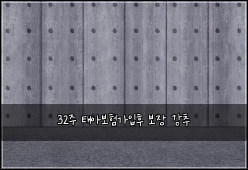 32주 태아보험가입후 보장 강추