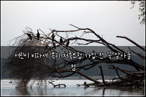 어린이 비과세 복리 저축보험 가입 전 꼭 알아둘 점