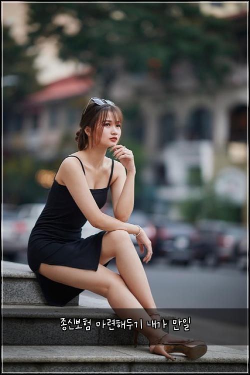 종신보험 마련해두기  내가 만일
