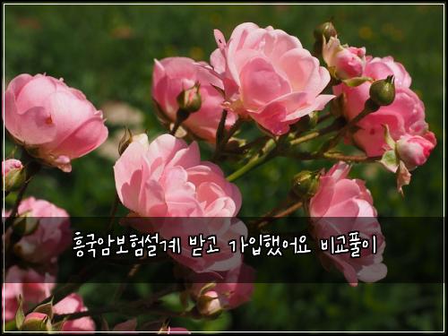 흥국암보험설계 받고 가입했어요 비교풀이