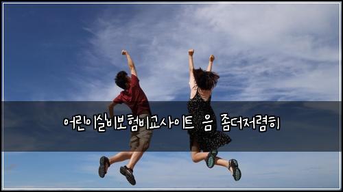 ์ด๋ฆฐ์ด์ค๋น๋ณดํ๋น๊ต์ฌ์ดํธ ์ ์ข๋์ ๋ ดํ