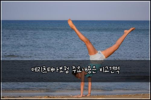 ๋ฉ๋ฆฌ์ธ ํ์๋ณดํ ์ฃผ์๋ด์ฉ์ ๋น๊ต๊ฒฌ์ 