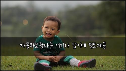 ์๋์ฐจ๋ณดํ์์ ์ฌ๊ธฐ๊ฐ ๋ต์ด๋ค ์ ๋ณด์ ๊ณต