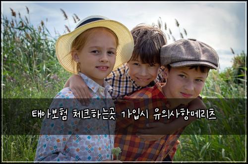 태아보험 체크하는곳  가입시 유의사항메리츠