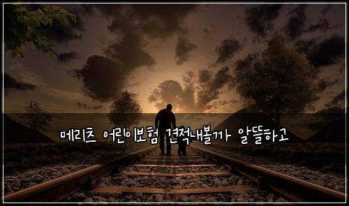 메리츠 어린이보험 견적내볼까  알뜰하고