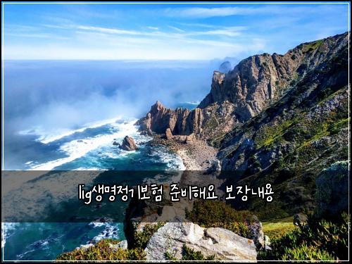lig생명정기보험 준비해요  보장내용