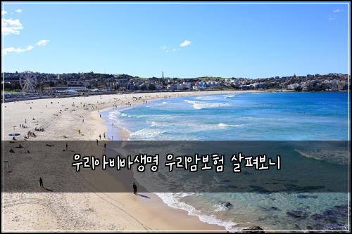 우리아비바생명 우리암보험 살펴보니