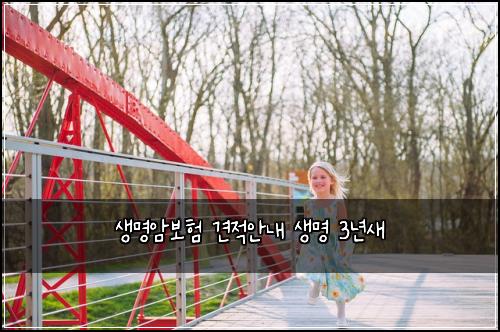생명암보험 견적안내  생명 3년새