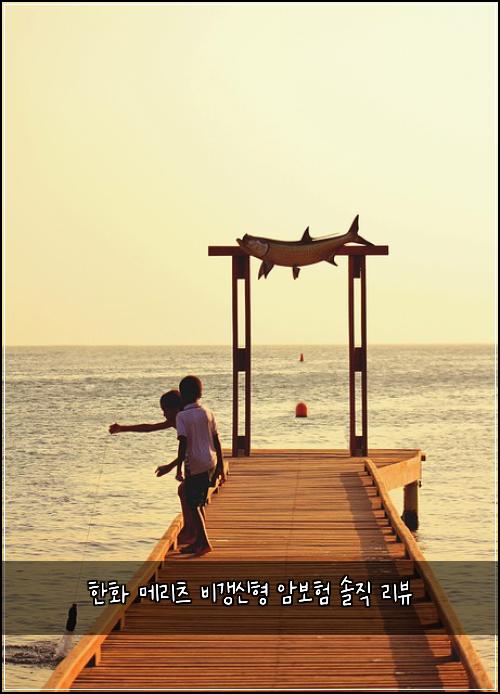 한화 메리츠 비갱신형 암보험 솔직 리뷰