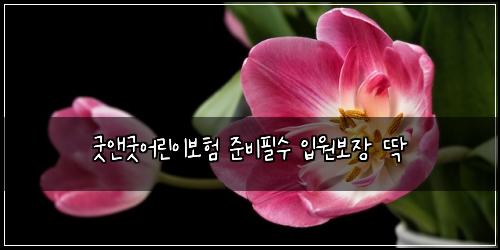 굿앤굿어린이보험 준비필수  입원보장 딱