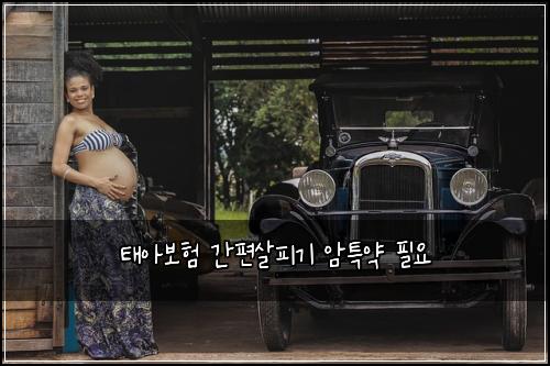 태아보험 간편살피기  암특약 필요