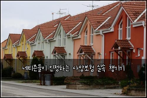 네티즌들이 인정하는 사망보험 실속 챙기기