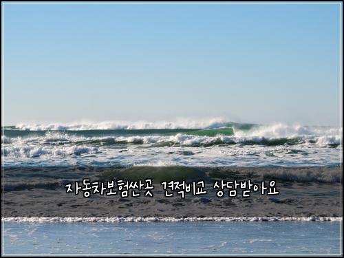 자동차보험싼곳 견적비교 상담받아요
