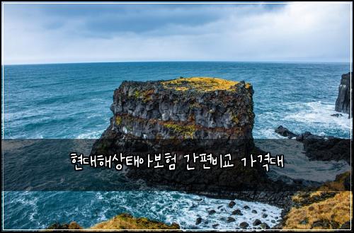 ํ๋ํด์ํ์๋ณดํ ๊ฐํธ๋น๊ต ๊ฐ๊ฒฉ๋