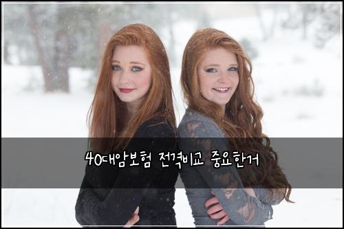40๋์๋ณดํ ์ ๊ฒฉ๋น๊ต ์ค์ํ๊ฑฐ