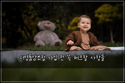 더명품암보험 가입 전 꼭 체크할 사항들
