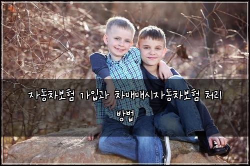 자동차보험 가입과 차매매시자동차보험 처리 방법