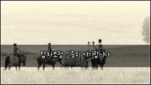 탑차보험 신중히  여기랍니다