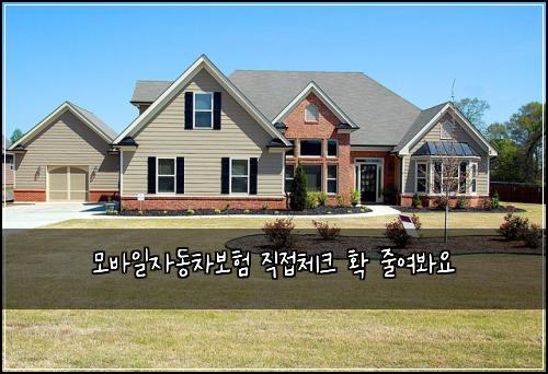 모바일자동차보험 직접체크  확 줄여봐요