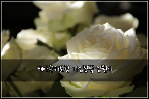 태아손해보험 가입선택  입원비