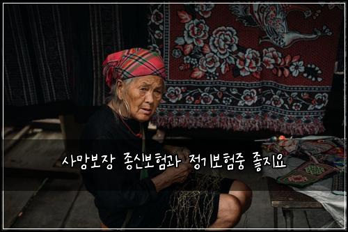 사망보장 종신보험과 정기보험중 좋지요
