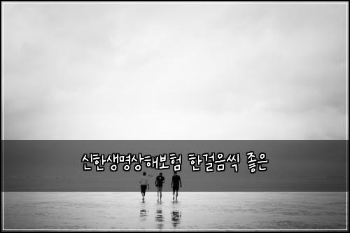 신한생명상해보험 한걸음씩  좋은