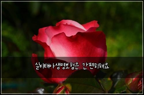실비태아생명보험은 간편히해요