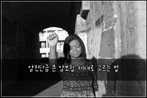 암진단금 큰 암보험 제대로 고르는 법