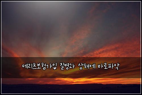 ๋ฉ๋ฆฌ์ธ ๋ณดํ๊ฐ์
์ง๋ณ๊ณผ ์ํด์ ๋ฐ๋กํ์