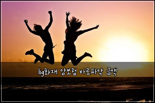 lig화재 암보험 바로파악  금액