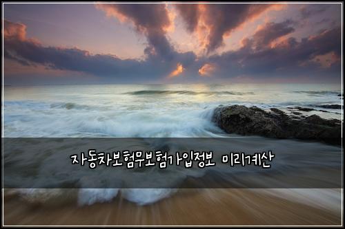 ์๋์ฐจ๋ณดํ๋ฌด๋ณดํ๊ฐ์
์ ๋ณด ๋ฏธ๋ฆฌ๊ณ์ฐ