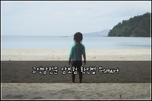 ๊ณ ์ก์์ ๋ฌธ ์๋ณดํ ํ์ธ๋ฒ ๋ฌดsmart