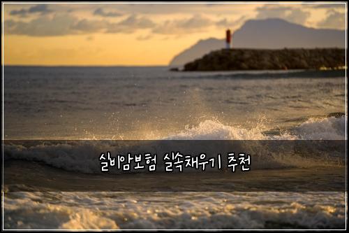 실비암보험 실속채우기  추천