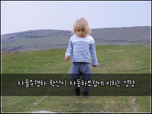 자율주행차 확산이 자동차보험에 미치는 영향
