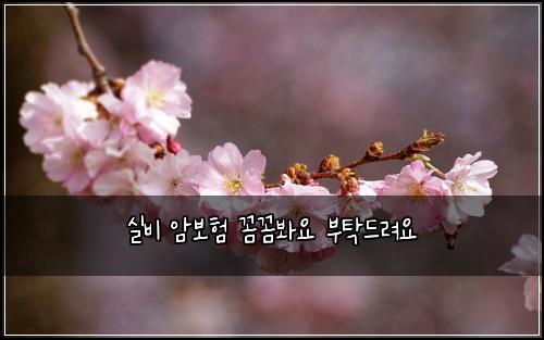 실비 암보험 꼼꼼봐요  부탁드려요