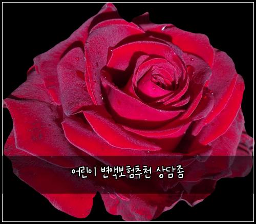 어린이 변액보험추천 상담좀
