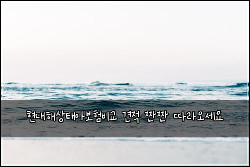 현대해상태아보험비교 견적 짠짠 따라오세요