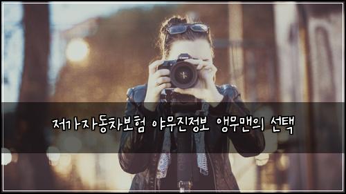 저가자동차보험 야무진정보  앵무맨의 선택