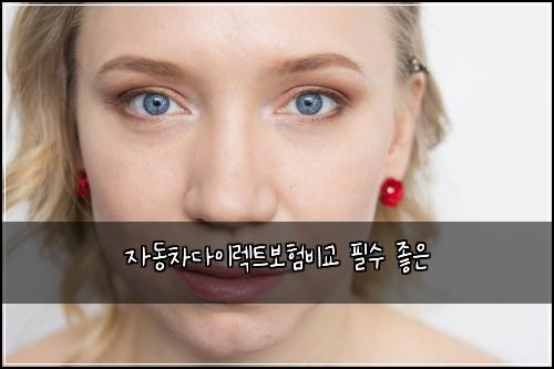 자동차다이렉트보험비교 필수 좋은