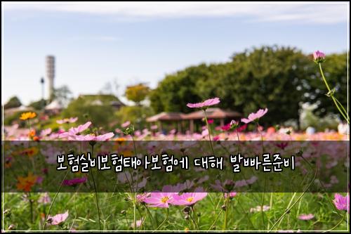 ๋ณดํ์ค๋น๋ณดํํ์๋ณดํ์ ๋ํด ๋ฐ๋น ๋ฅธ์ค๋น