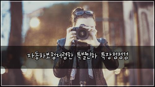 자동차보험저렴한 특별인하 특장점점검