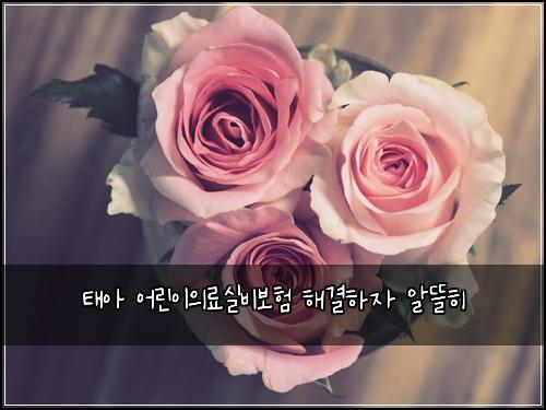 ํ์ ์ด๋ฆฐ์ด์๋ฃ์ค๋น๋ณดํ ํด๊ฒฐํ์ ์๋ฐํ