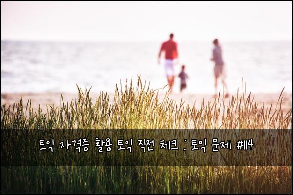 토익 자격증 활용 토익 직전 체크 : 토익 문제 #114