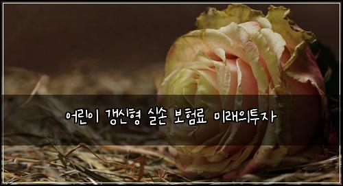 어린이 갱신형 실손 보험료 미래의투자